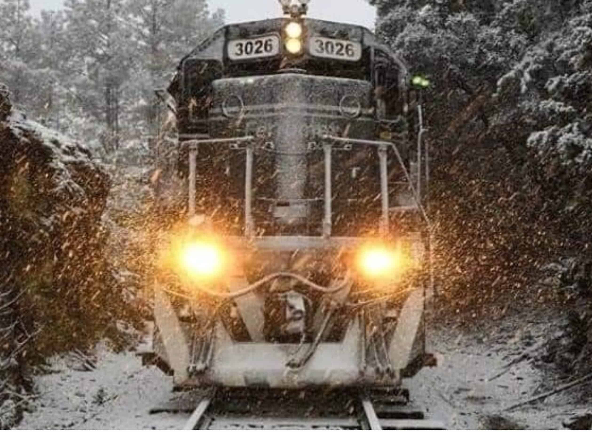 tren chepe